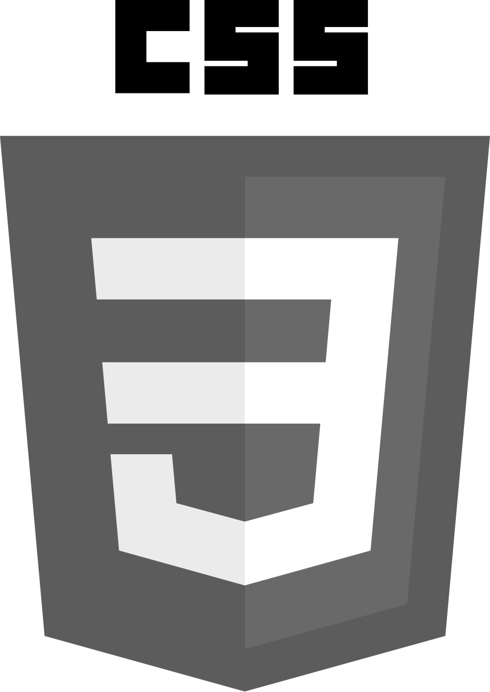 CSS3